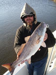 Redfish!!!